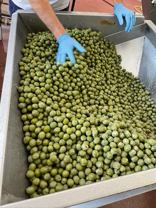 Sicilian Extra Virgin Olive Oil